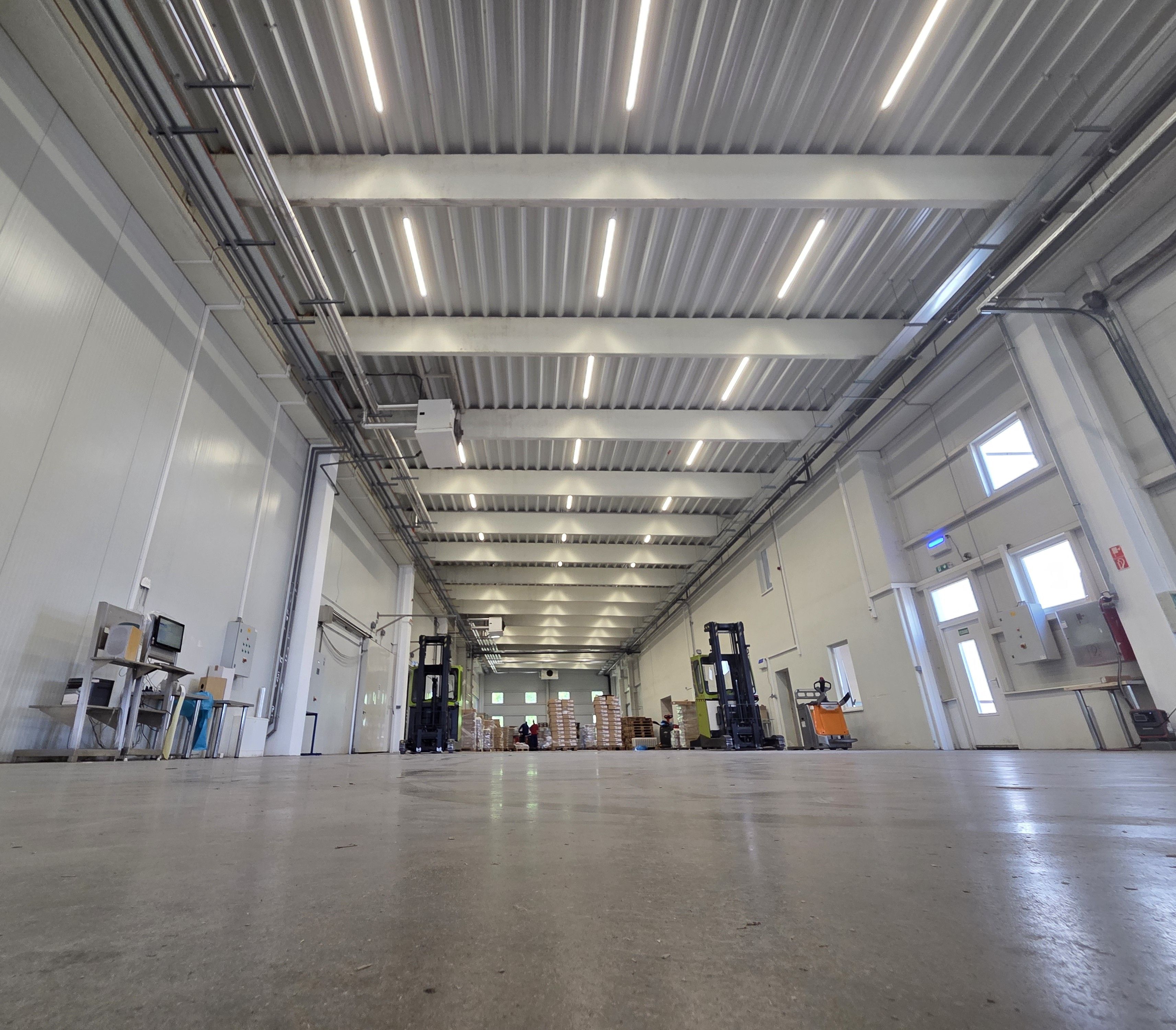 Inside a blast-freezing chamber — sized for a full truckload of palletised goods